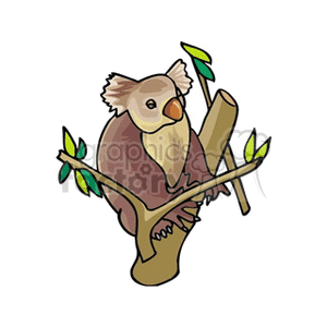 The image shows a cartoon depiction of a koala climbing a tree branch. The koala is illustrated in a simple style with visible lines and simple coloring that highlights its distinctive features such as the large nose and fluffy ears. Several leaves emerge from the branches, suggesting the koala's natural habitat in the eucalyptus forests of Australia.