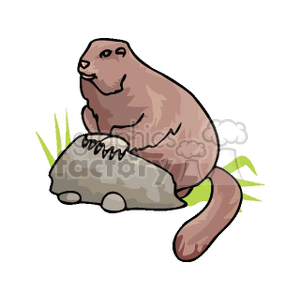 This clipart image features a stylized representation of a brown marmot sitting on a rock with green grass around it. The marmot appears to be in a relaxed pose with a cute expression, possibly embodying a 'begging' or observant posture. 