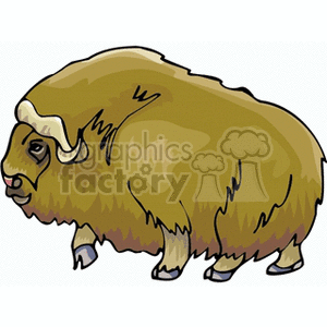 The image is a clipart illustration of a bison with prominent horns and a shaggy coat. 