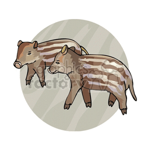 This is a clipart image of two stylized pigs, each with brown and white striping on their bodies. They are depicted in a cartoonish style and are standing side-by-side. The pigs appear to be clean and the design gives them a playful, decorative look. They are not actually dirty, but the stripes may give them a textured appearance similar to that of pigs which might have been rolling in mud.