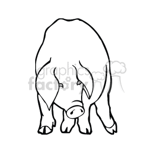 The clipart image is a line art drawing of a pig. The pig is illustrated using vector graphics, which gives them a clean and crisp appearance.