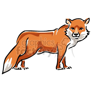 This clipart image features a stylized fox standing with its head turned towards the viewer. The fox has a prominent orange coat with white coloring on the tail tip and around the muzzle area.