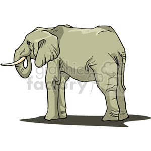 The clipart image depicts an elephant, a large African mammal known for its significant size, distinctive trunk, and long tusks.