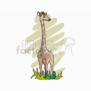 The image depicts a single giraffe standing on a patch of green grass. The giraffe is illustrated with a long neck, typical patchy fur pattern, and has a calm expression. The background consists of simple, abstract beige stripes that could represent the giraffe's natural habitat or just a stylized artistic element.