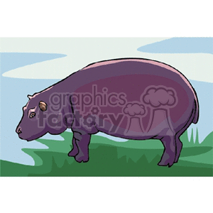 The image is a clipart illustration of a single hippopotamus standing on a grassy river bank with water and sky in the background.