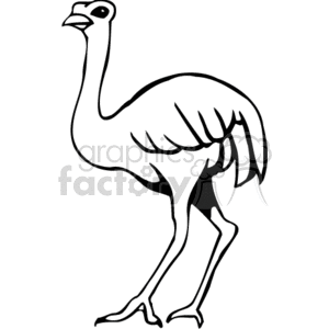 Black and with silhouette of an ostrich