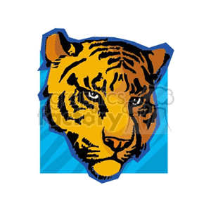 The clipart image displays a stylized illustration of a tiger's head with a fierce expression. The tiger is predominantly orange with black stripes and a white accent, giving it a bold appearance. The background has a blue, angular pattern, enhancing the graphic quality of the image. This image could be used as a mascot or logo due to its strong, iconic look.