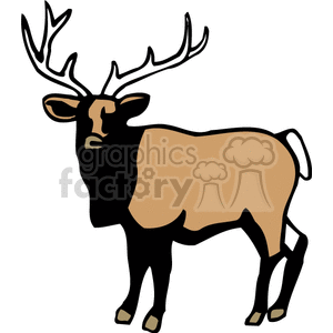 The clipart image displays a stylized illustration of a mature deer with prominent antlers, which suggests it may be depicted as a buck or an elk.