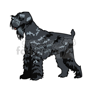 The clipart image features a single dog illustrated in a standing profile view. The dog appears to be a breed with long, curly fur and a distinctive beard and eyebrows, possibly suggesting it could be representative of a Schnauzer or a similar breed with such traits.