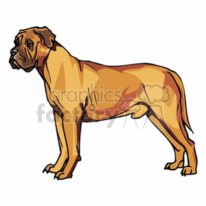 This clipart image features a large, muscular dog that resembles a Mastiff. It is standing in profile, showing off its strong build and distinctive features such as a short coat, a solid, stocky body, and a broad, wrinkled face.