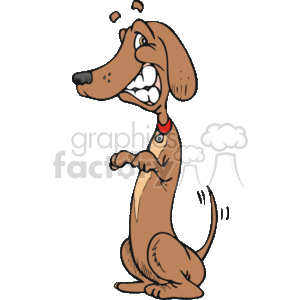 The clipart image depicts a cartoon of a brown dachshund dog. The dog is standing on its hind legs, with one front paw raised as if waving or reaching out. It has a big, open-mouthed smile showing its teeth, and its tail is wagging. The dog also has a red collar around its neck with a visible tag, indicating it might be a pet. Its expression is friendly and happy, or possibly mischievous 