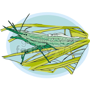 The image is a clipart of a green water bug or an aquatic insect resting on what appears to be reeds or aquatic plants. It is not a fish or a typical animal one might associate with those keywords.