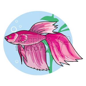 The clipart image shows a stylized illustration of a pink tropical fish with prominent fins and tail, swimming underwater among bubbles with green aquatic plant elements in the background.