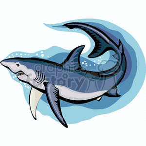 The image is a stylized cartoon clipart of a shark. The shark is mostly blue and white, with a dynamic pose that suggests movement through water.
