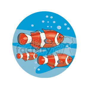 The clipart image depicts three stylized tropical fish similar in appearance to clownfish, known for their distinctive orange and white striped pattern. The fish are surrounded by blue water and bubble details, indicating an underwater scene.