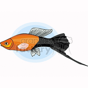 The clipart image features a stylized tropical fish with prominent orange and black coloring. It has a long, flowing tail and fins, with a characteristic pointed nose and large, round eyes.