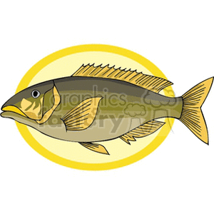 The image is a clipart illustration of a fish with a yellow and brown color scheme. The fish is depicted in profile, facing to the right, with visible fins, tail, and an open eye.