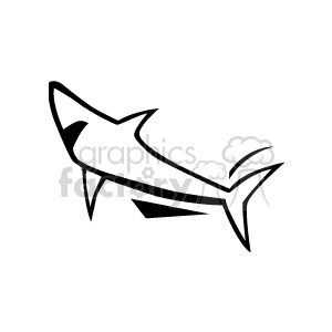 shark in black and white