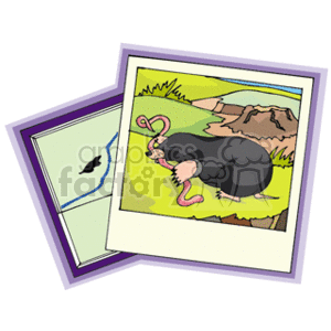 The clipart image shows two overlaid pictures, one in front of the other. The front picture features a stylized animal that appears to be an mole eating a worm, set against a vibrant green background with brown areas resembling a mountain or cliff. The rear picture seems to be a map showing a section of land with a bird silhouette, suggesting a representation of wildlife habitat or geographical distributions of species.
