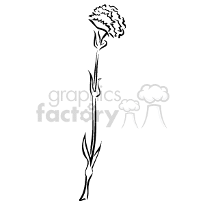 The image is a black and white clipart depicting a single stemmed carnation flower with leaves and a detailed flower head.