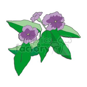 This clipart image depicts a plant with broad green leaves and a couple of purple flowers with yellow centers.