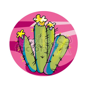 cactus21312