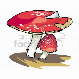 mushroom12