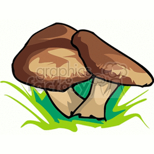 mushroom14