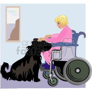The clipart image depicts a woman in a wheelchair interacting with a black dog. The lady appears to be petting or engaging with the dog which is sitting close to her, facing her. Both the woman and the dog seem to be indoors, as there is a picture hanging on the wall behind them, which suggests a domestic setting. The woman has short, blonde hair and is wearing a pink top. The wheelchair is colored blue and grey with visible large rear wheels and smaller front casters.