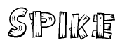 The image contains the name Spike written in a decorative, stylized font with a hand-drawn appearance. The lines are made up of what appears to be planks of wood, which are nailed together