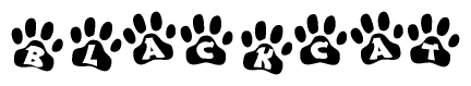 The image shows a row of animal paw prints, each containing a letter. The letters spell out the word Blackcat within the paw prints.