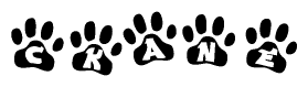 The image shows a series of animal paw prints arranged horizontally. Within each paw print, there's a letter; together they spell Ckane