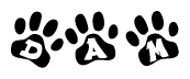 The image shows a series of animal paw prints arranged in a horizontal line. Each paw print contains a letter, and together they spell out the word Dam.