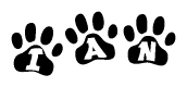 The image shows a series of animal paw prints arranged horizontally. Within each paw print, there's a letter; together they spell Ian