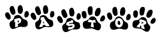 The image shows a series of animal paw prints arranged horizontally. Within each paw print, there's a letter; together they spell Pastor