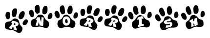 The image shows a row of animal paw prints, each containing a letter. The letters spell out the word Rnorrish within the paw prints.
