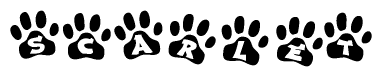 The image shows a series of animal paw prints arranged in a horizontal line. Each paw print contains a letter, and together they spell out the word Scarlet.
