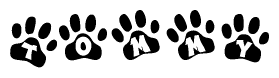 The image shows a series of animal paw prints arranged in a horizontal line. Each paw print contains a letter, and together they spell out the word Tommy.