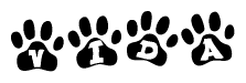 The image shows a row of animal paw prints, each containing a letter. The letters spell out the word Vida within the paw prints.