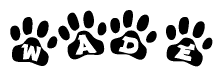 The image shows a series of animal paw prints arranged in a horizontal line. Each paw print contains a letter, and together they spell out the word Wade.