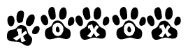 The image shows a series of animal paw prints arranged horizontally. Within each paw print, there's a letter; together they spell Xoxox