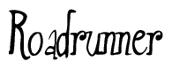 The image is of the word Roadrunner stylized in a cursive script.