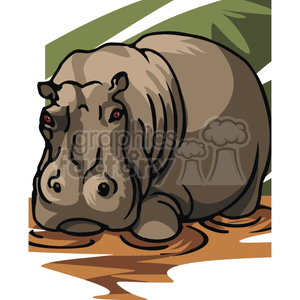 The clipart image shows a realistic vector illustration of a hippopotamus, a large semi-aquatic mammal found in the wild. The image is designed to resemble a photograph and portrays the animal's physical features and texture in a lifelike manner.
