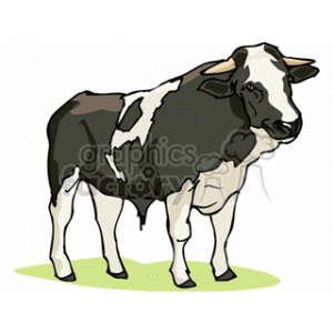 The clipart image features a black and white spotted dairy cow. The cow appears to be standing on a patch of green, which might represent grass.