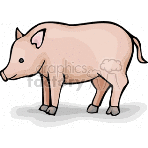 The image is a clipart illustration of a pink pig. It has a simple and cute design, likely intended for decorative purposes or for use in materials related to farms or animals.