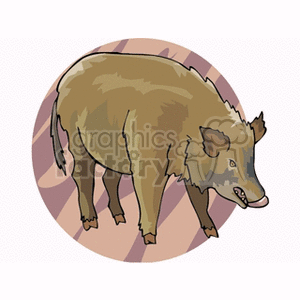 The clipart image shows a brown wild boar. It is a simple illustration prominently featuring the animal against a pale, circular background with a pattern that suggests a natural environment.