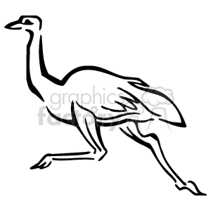 The clipart image shows a black and white illustration of an ostrich, which is a type of bird.
