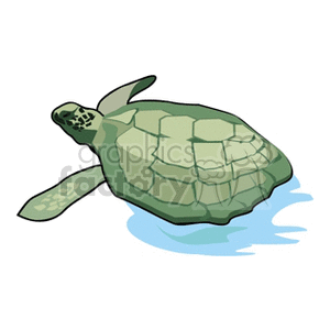 The image is a clipart of a green sea turtle in water. It depicts a side view of the turtle, showcasing its shell and flippers as it appears to be swimming.