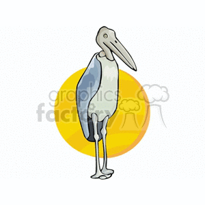 Marabou stork standing against an orange background