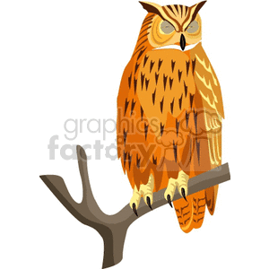 Orange and brown spotted owl